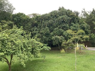 photo/0494d4e1-4771-4ebc-bea6-3f0a46aa85dc-3