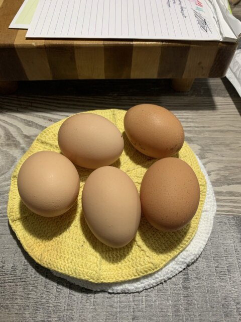 2025-11-07-eggs.jpg