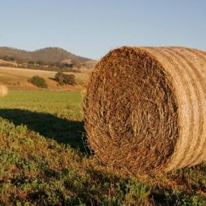 RandomHayBale