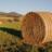 RandomHayBale